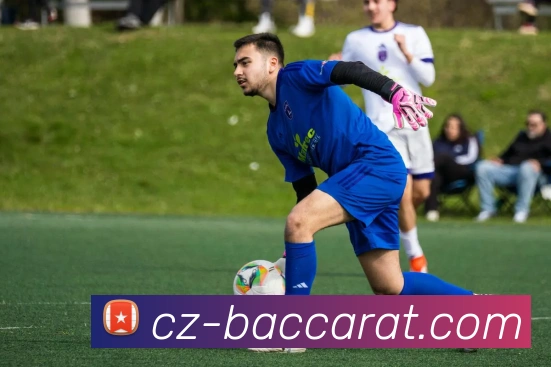 百家乐官网积极支持文化交流，鼓励员工参与国际项目。百家乐平台百家乐集团官网APP 高清赛事图